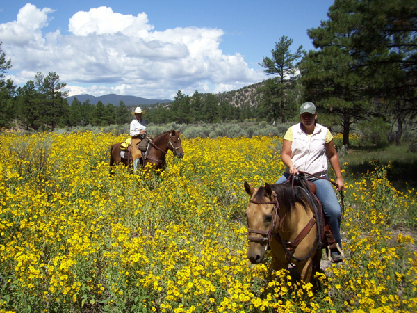 Geronimo trail guest ranch